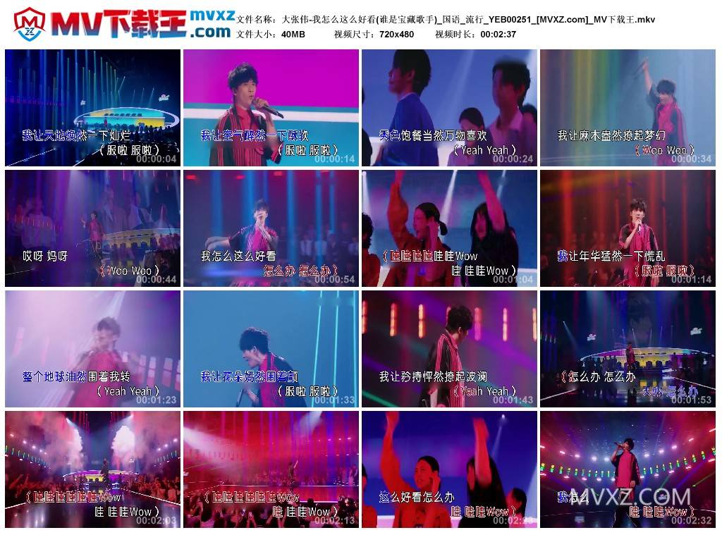 大张伟-我怎么这么好看(谁是宝藏歌手)_国语_流行_YEB00251